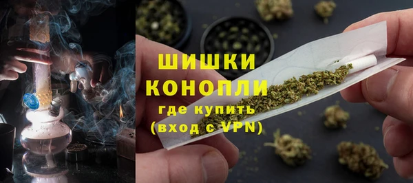 шишки Алзамай