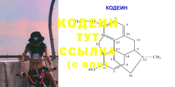 ГАЛЛЮЦИНОГЕННЫЕ ГРИБЫ Рославль