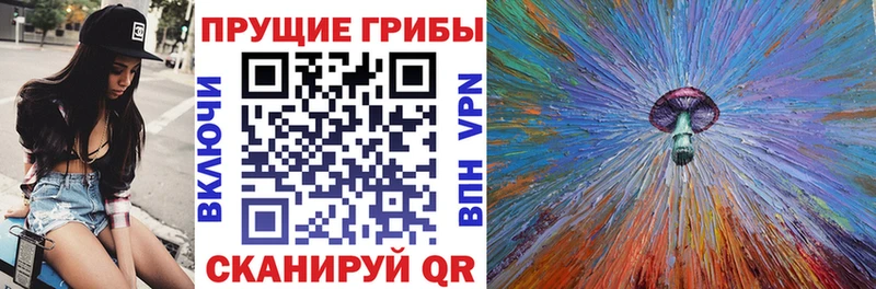 Псилоцибиновые грибы Psilocybine cubensis  Ермолино 